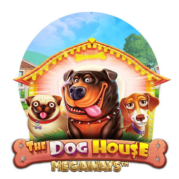 Dog House Megaways slot at Rainbet Casino